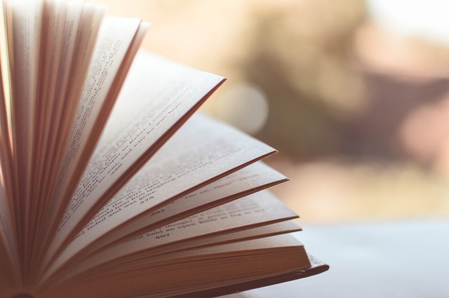 Journal of Technology Management & Innovation