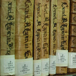 Lomos de libros colección patrimonial