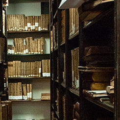 Estanterías sala de libros colección patrimonial