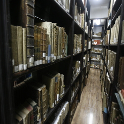 Estanterías sala de libros colección patrimonial